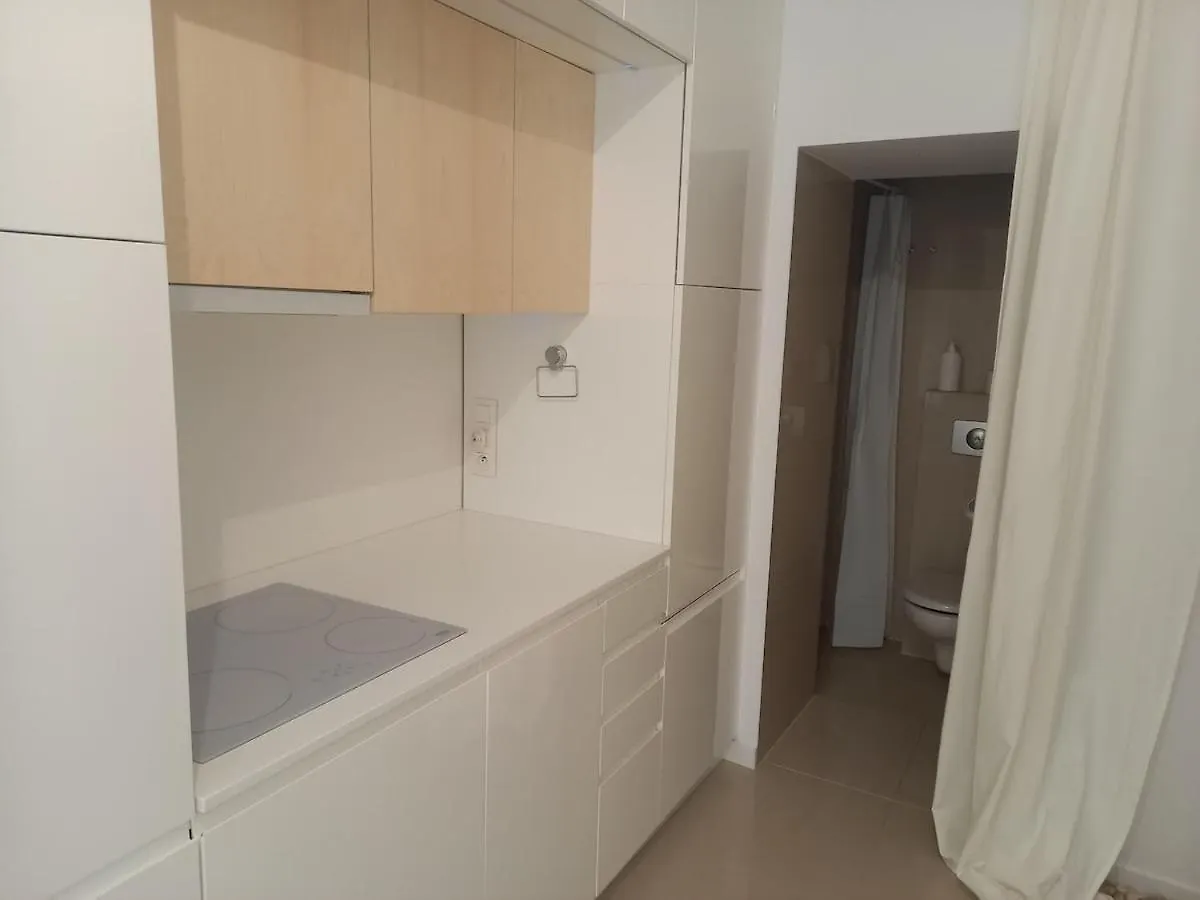 Centrum Krakowa, Apartament Z Ogrodem I Parkingiem Krakow