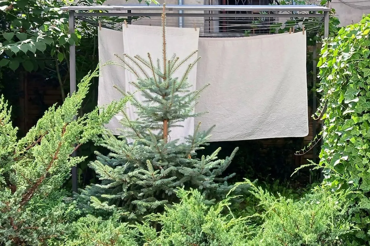 Centrum Krakowa, Apartament Z Ogrodem I Parkingiem Krakow
