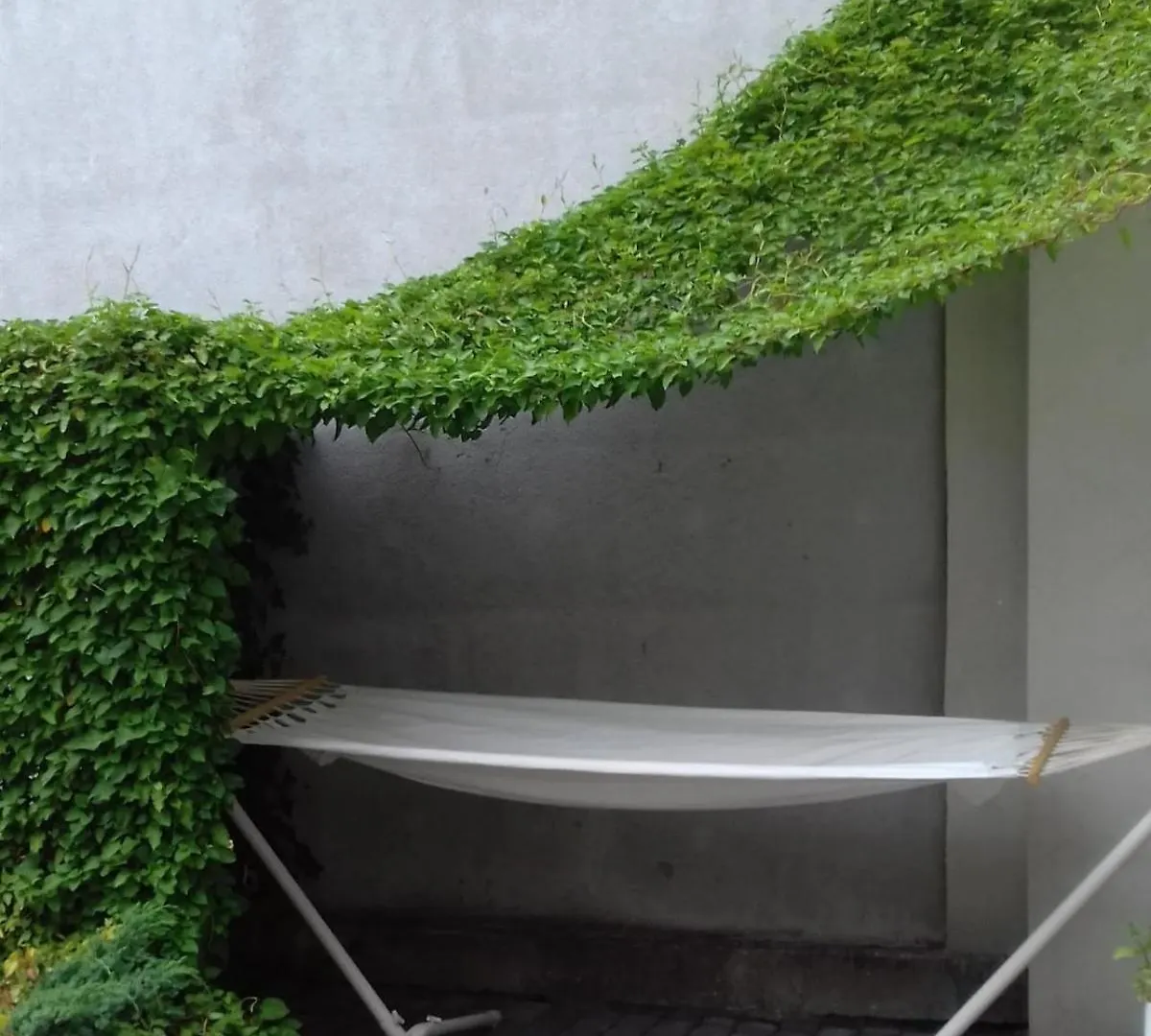 Centrum Krakowa, Apartament Z Ogrodem I Parkingiem Krakow