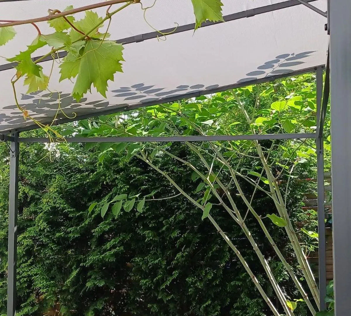 Centrum Krakowa, Apartament Z Ogrodem I Parkingiem 0*, Krakow
