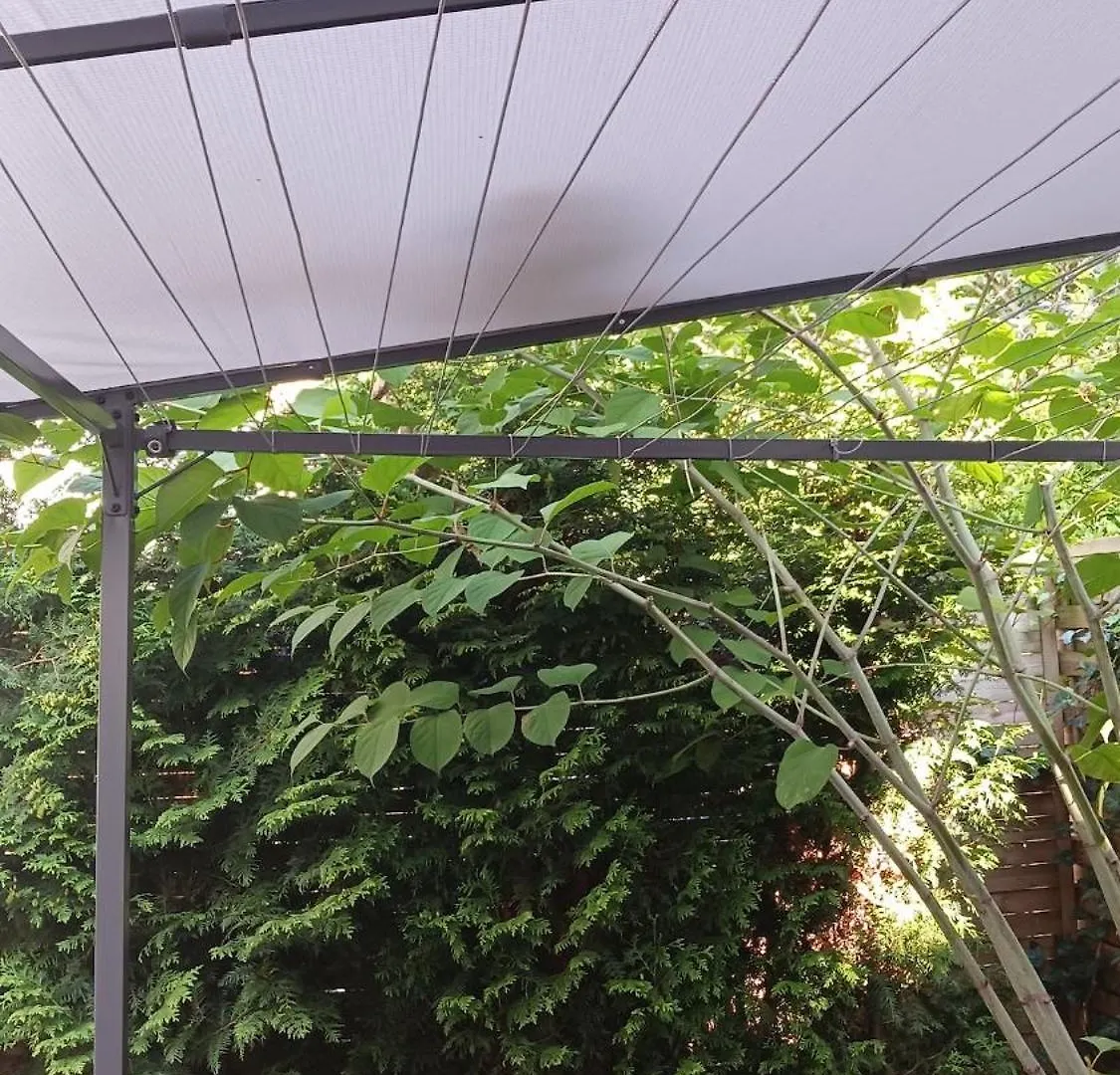 Centrum Krakowa, Apartament Z Ogrodem I Parkingiem
