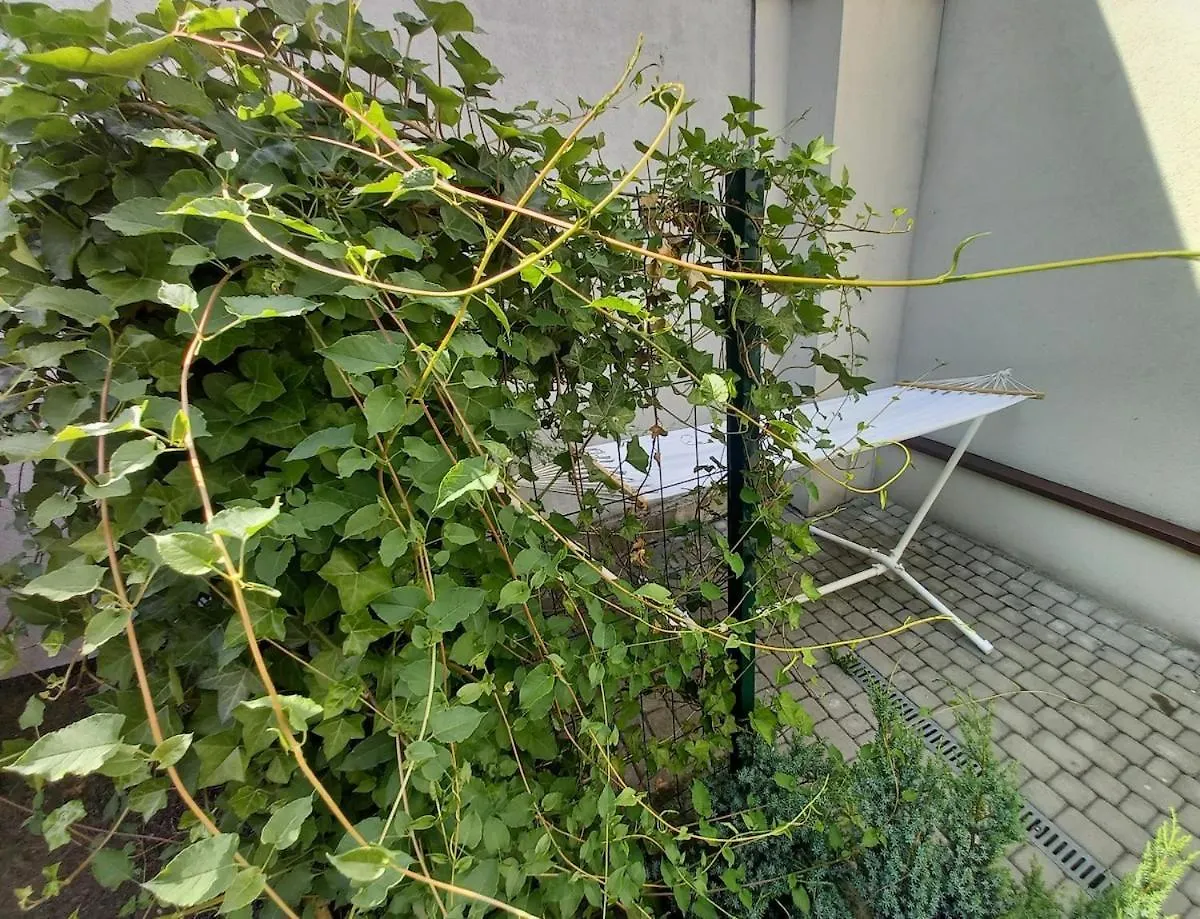 Apartment Centrum Krakowa, Apartament Z Ogrodem I Parkingiem